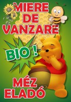 /album/www-darkdesign-ro/bio-jpg/